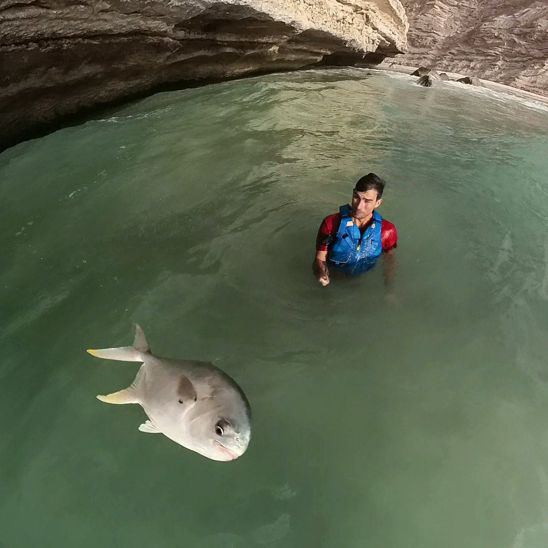 Flying Fish takes to the air near a startled coasteering guide in Oman