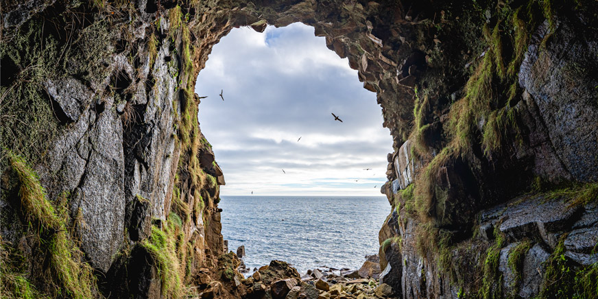 View from inside a vast sea cave near Mousehole, Cornwall, looking out to sea with seabirds in flight.