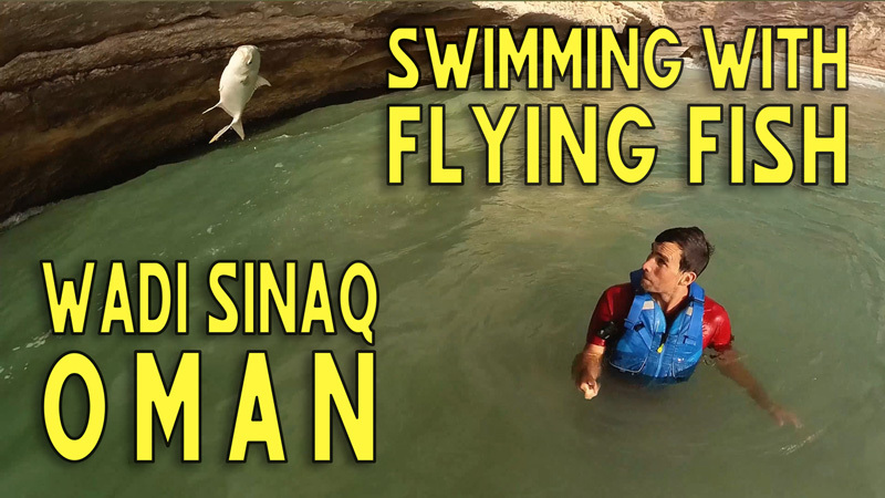 Man in a blue buoyancy aid watches a flying fish leap from a coastal wadi in Oman